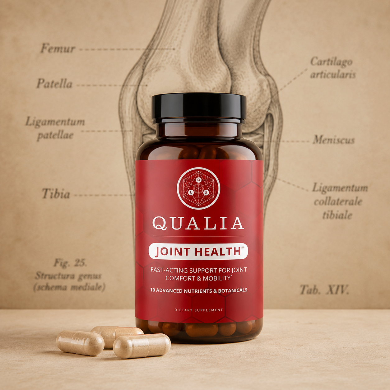 Qualia Joint Health bottle with capsules and vintage knee anatomy diagram.